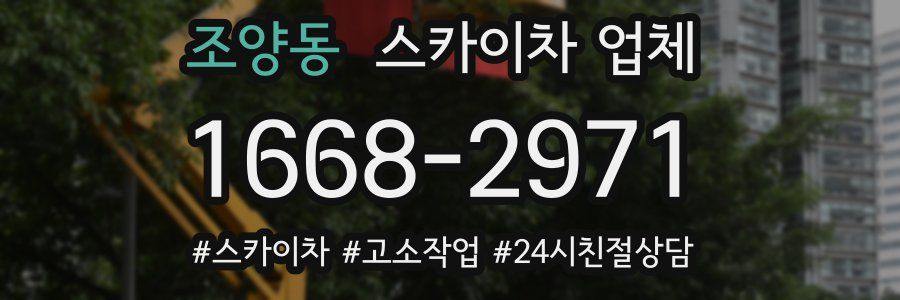 조양동 스카이차 업체