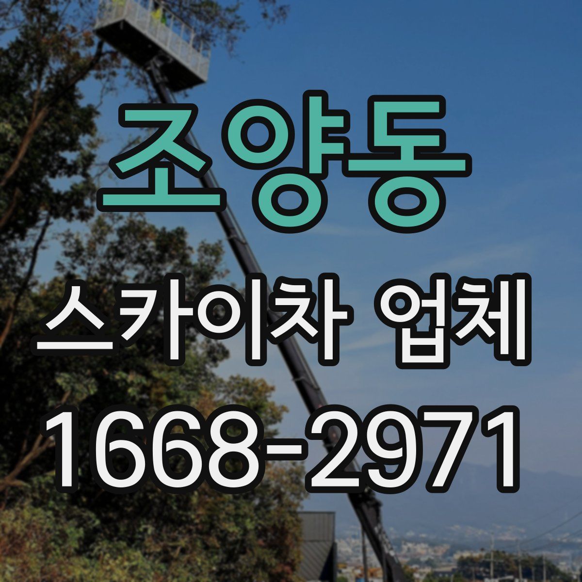 조양동 스카이차 업체