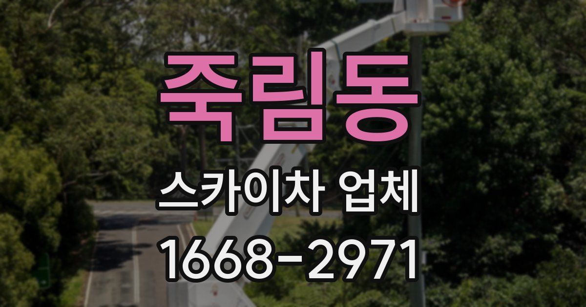죽림동 스카이차 업체