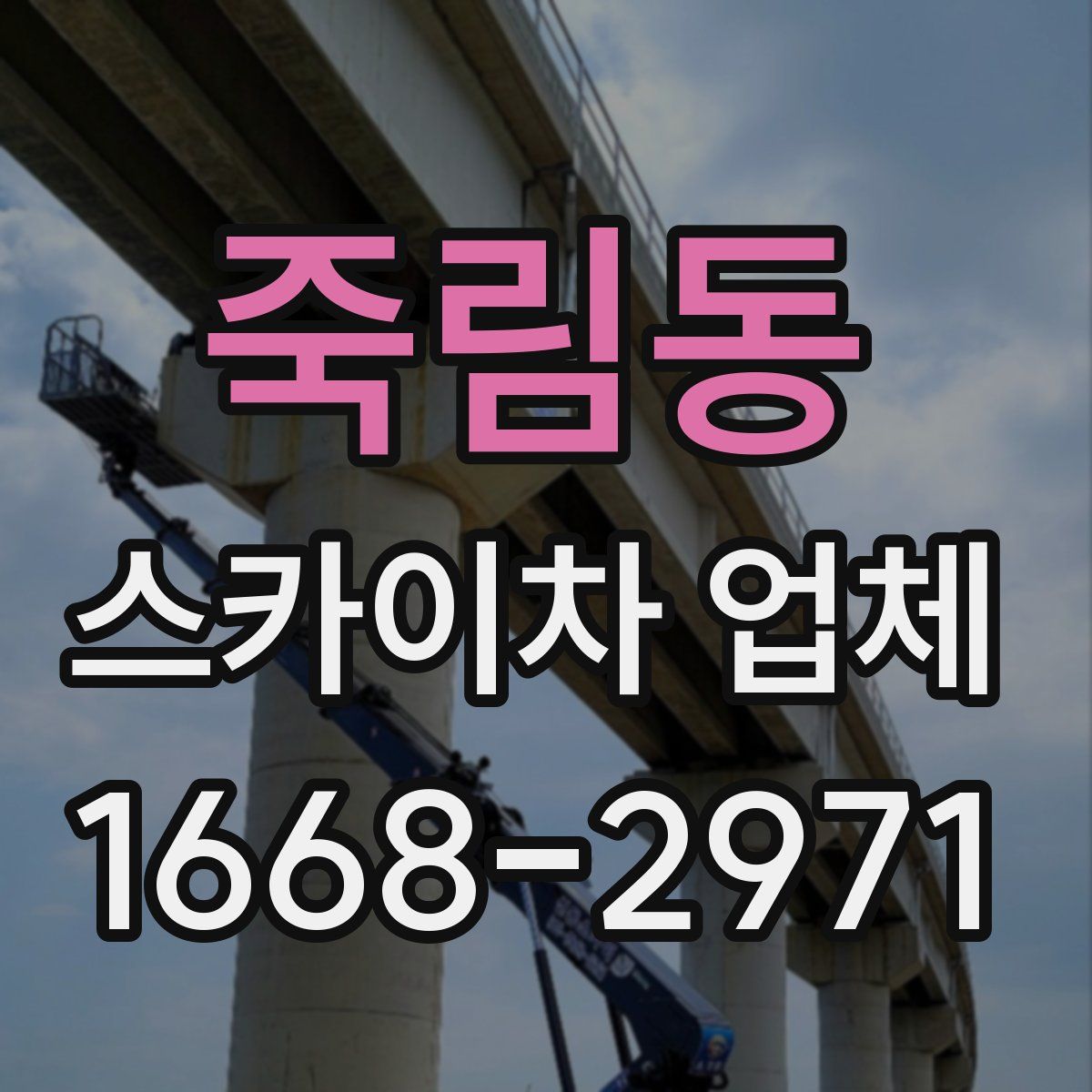 죽림동 스카이차 업체