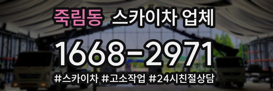 죽림동 스카이차 업체
