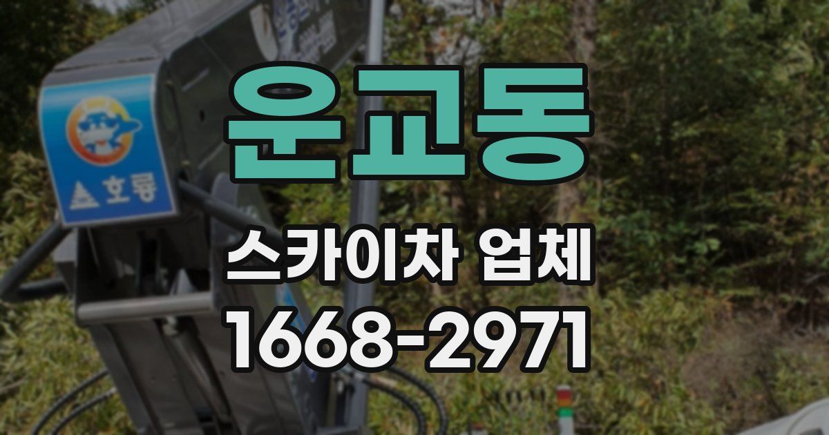 운교동 스카이차 업체