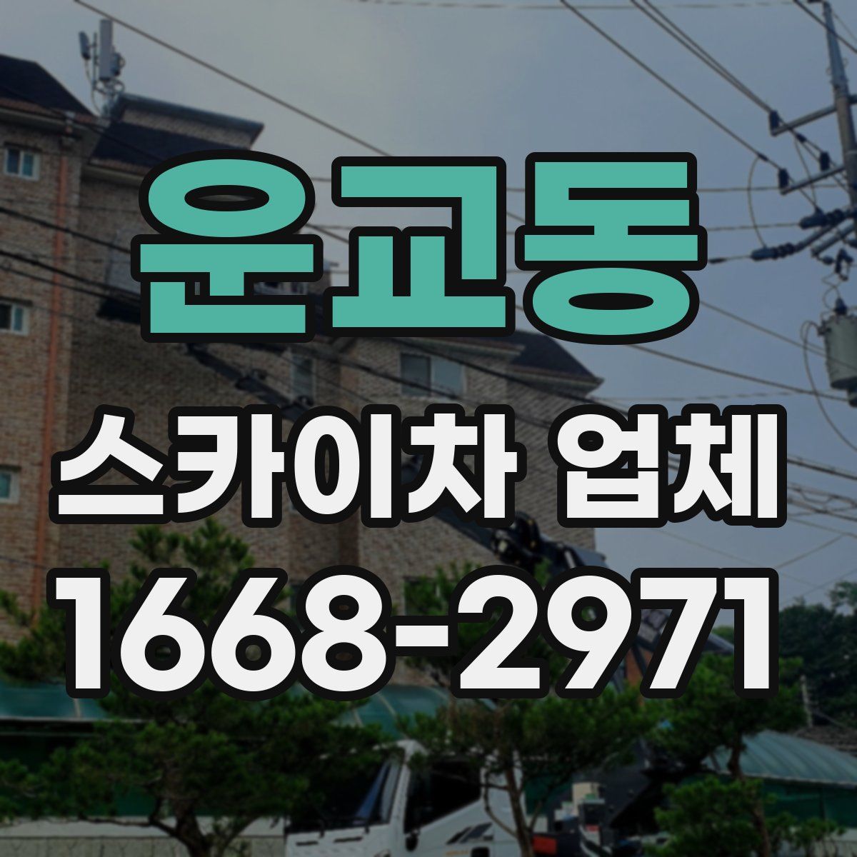 운교동 스카이차 업체