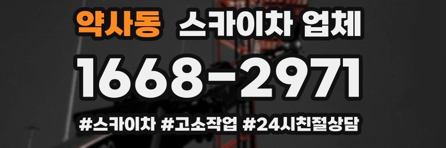 약사동 스카이차 업체