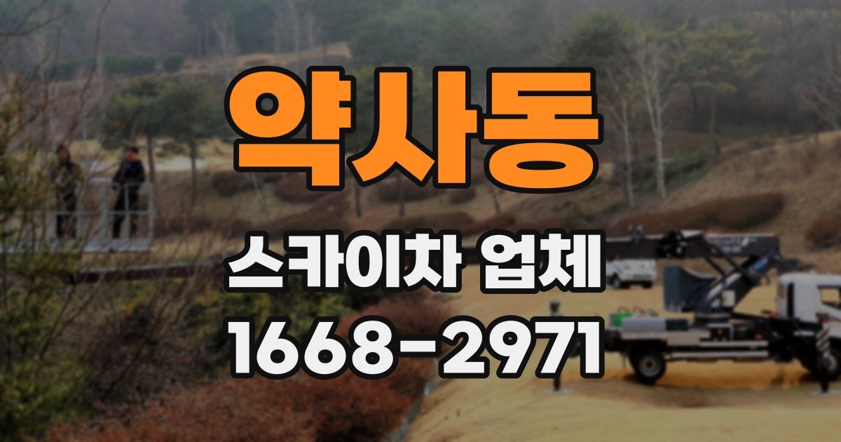 약사동 스카이차 업체