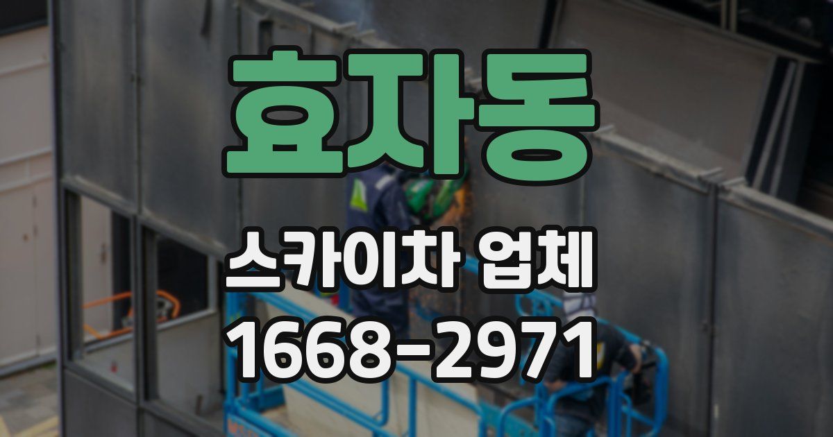 효자동 스카이차 업체