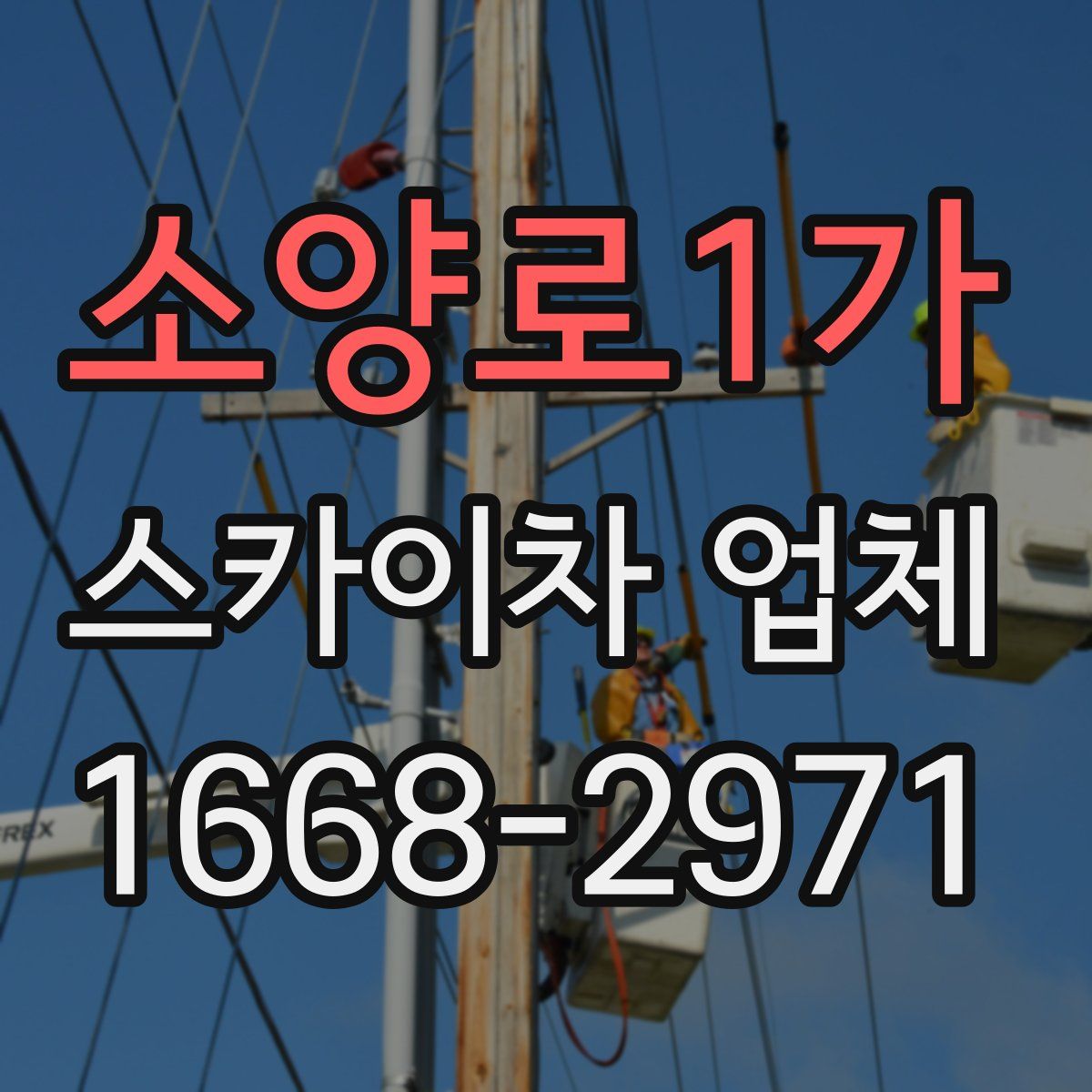 소양로1가 스카이차 업체