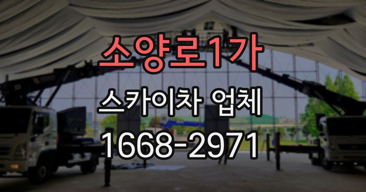 소양로1가 스카이차 업체