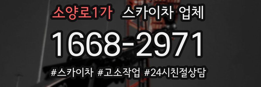 소양로1가 스카이차 업체