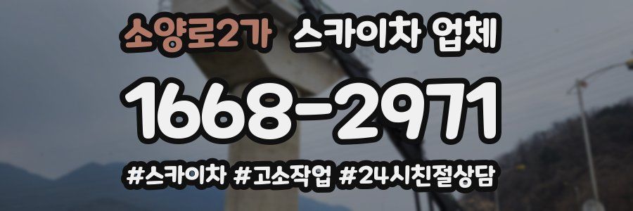 소양로2가 스카이차 업체