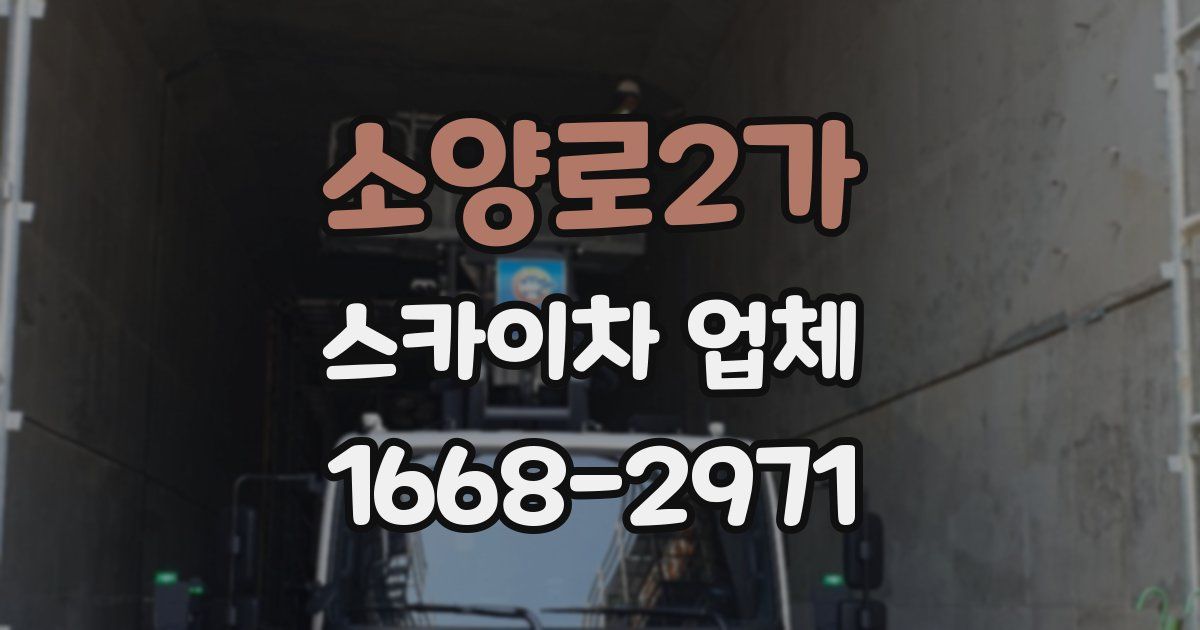 소양로2가 스카이차 업체