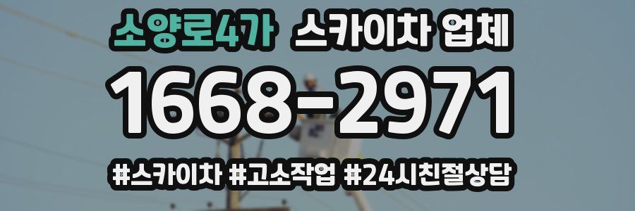 소양로4가 스카이차 업체