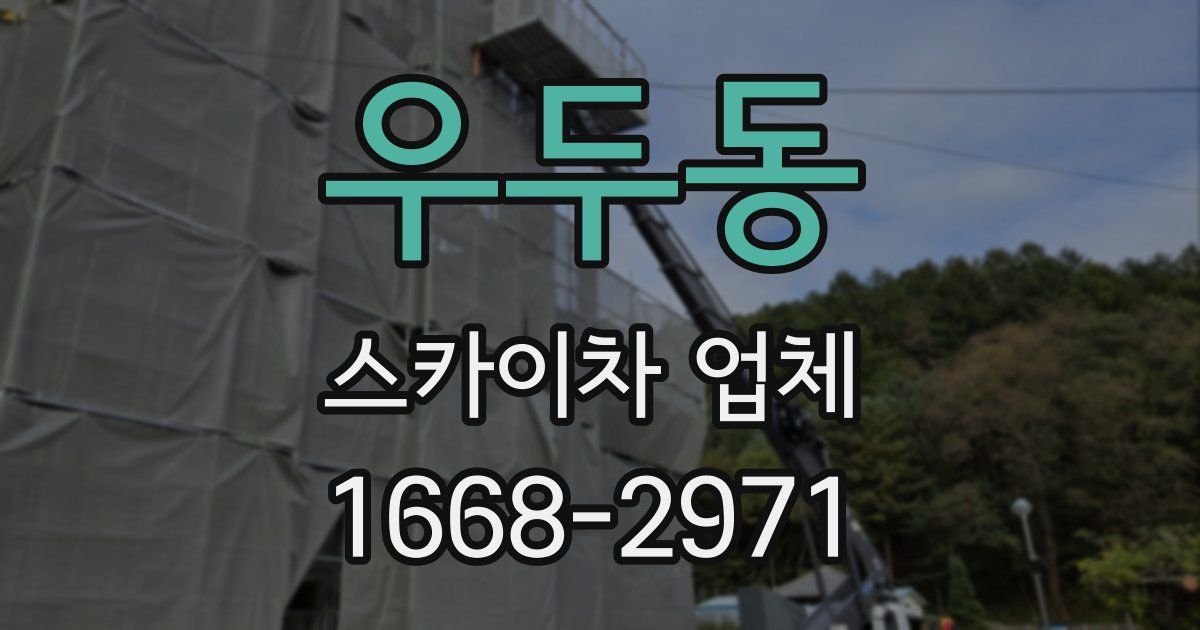 우두동 스카이차 업체