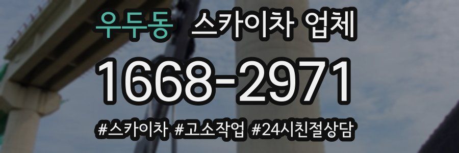 우두동 스카이차 업체