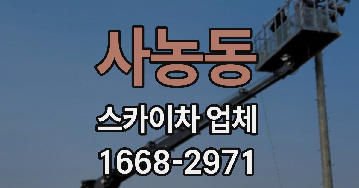 사농동 스카이차 업체
