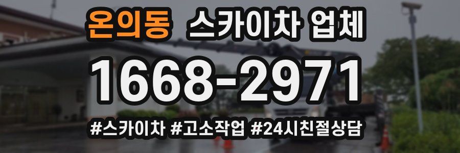 온의동 스카이차 업체