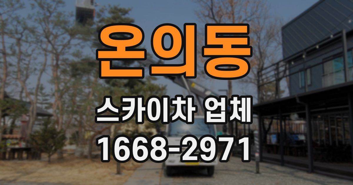 온의동 스카이차 업체
