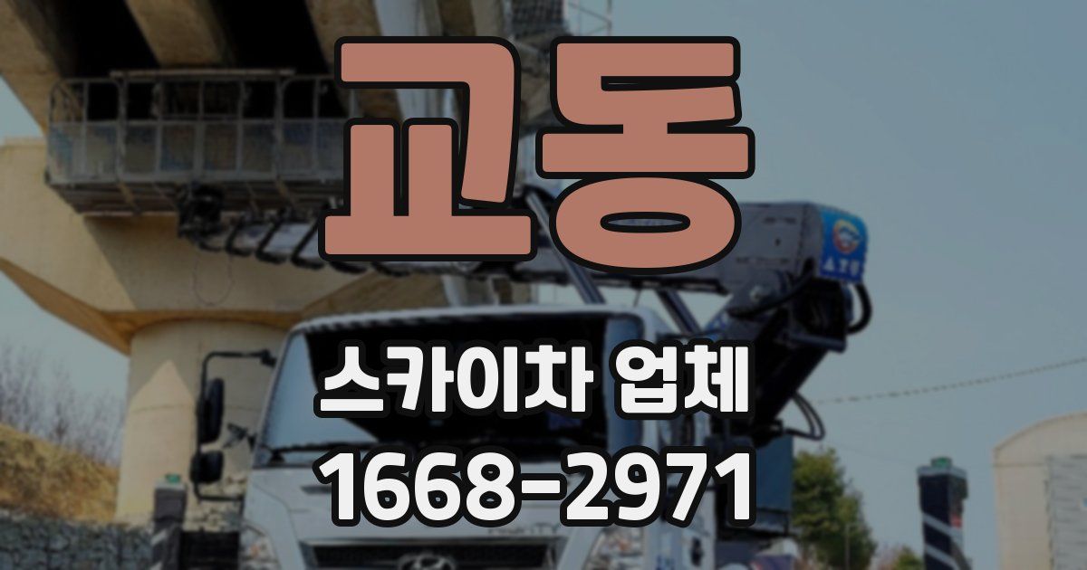 교동 스카이차 업체