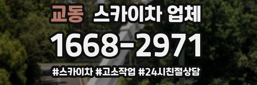 교동 스카이차 업체