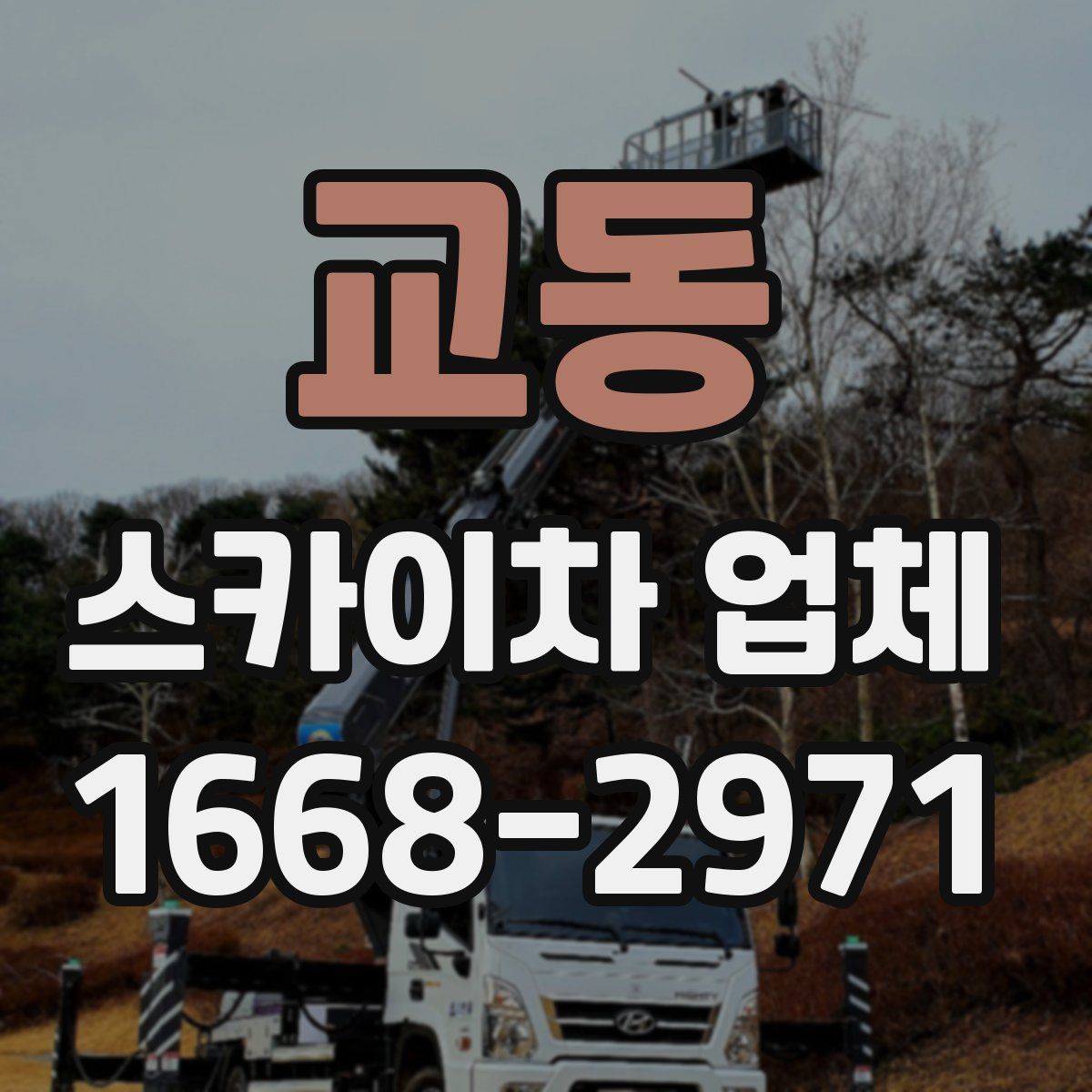 교동 스카이차 업체
