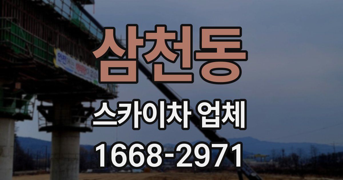 삼천동 스카이차 업체