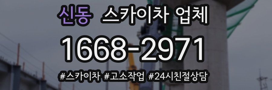 신동 스카이차 업체