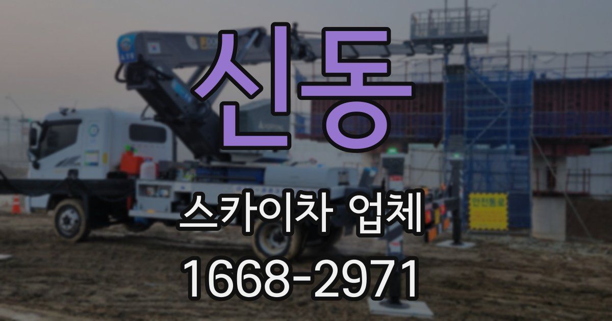 신동 스카이차 업체