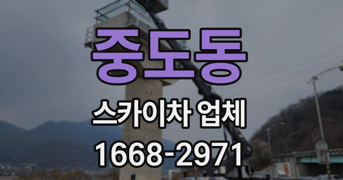 중도동 스카이차 업체