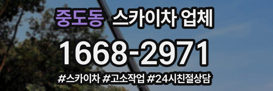 중도동 스카이차 업체