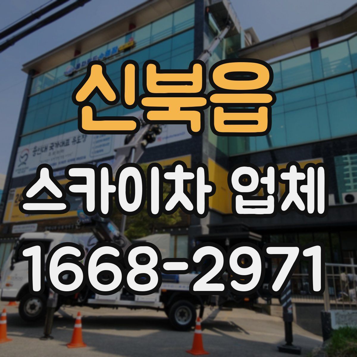 신북읍 스카이차 업체