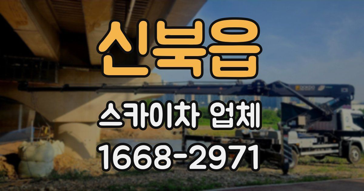 신북읍 스카이차 업체