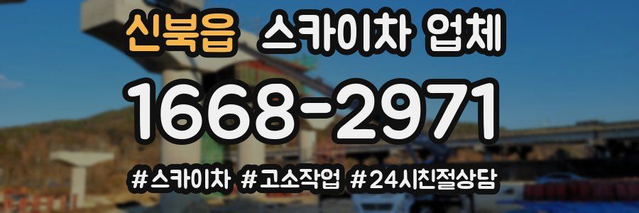 신북읍 스카이차 업체
