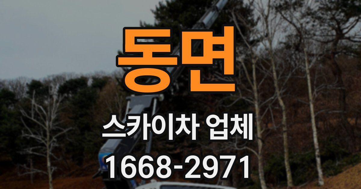 동면 스카이차 업체