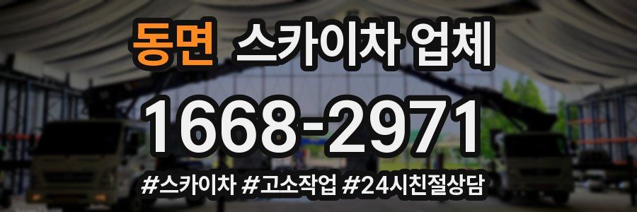 동면 스카이차 업체