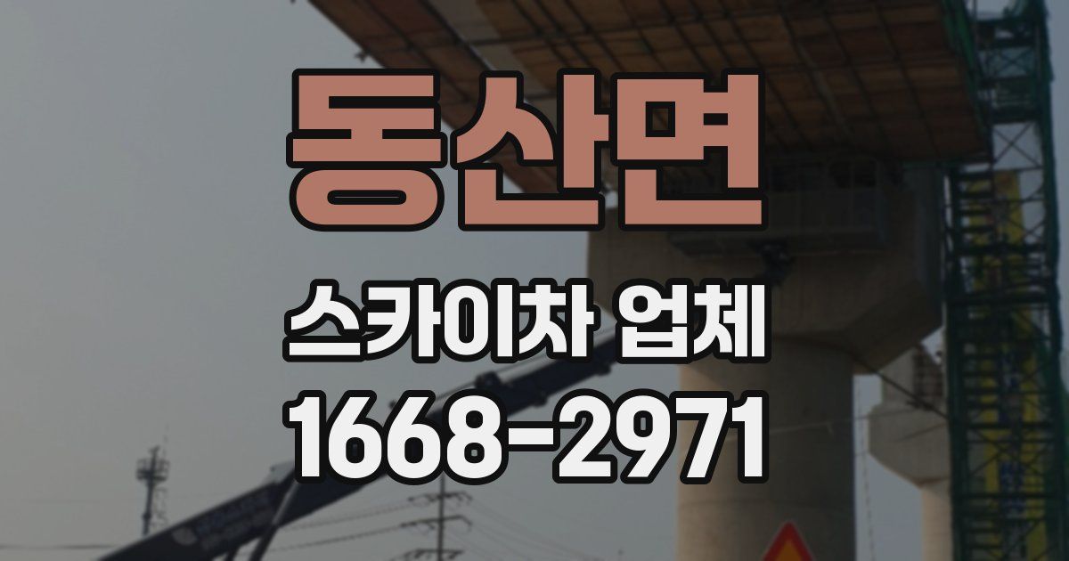 동산면 스카이차 업체