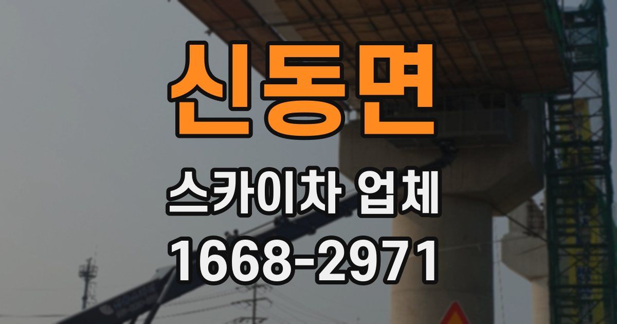 신동면 스카이차 업체