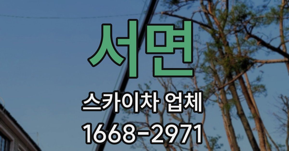서면 스카이차 업체