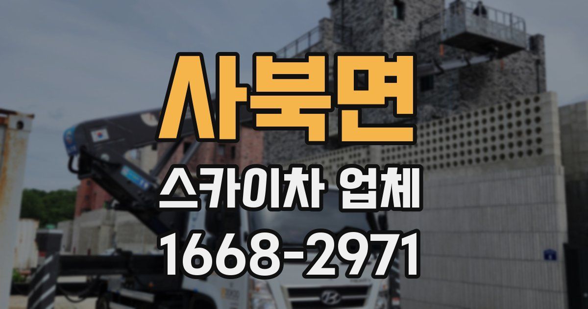 사북면 스카이차 업체