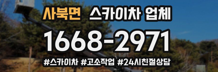 사북면 스카이차 업체