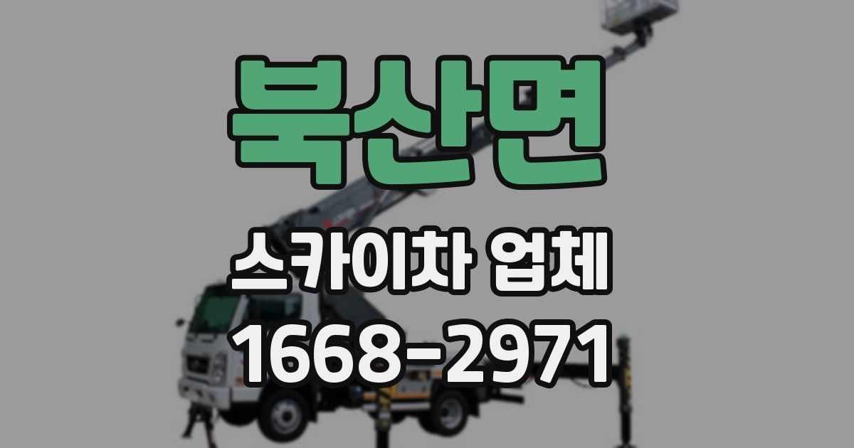 북산면 스카이차 업체