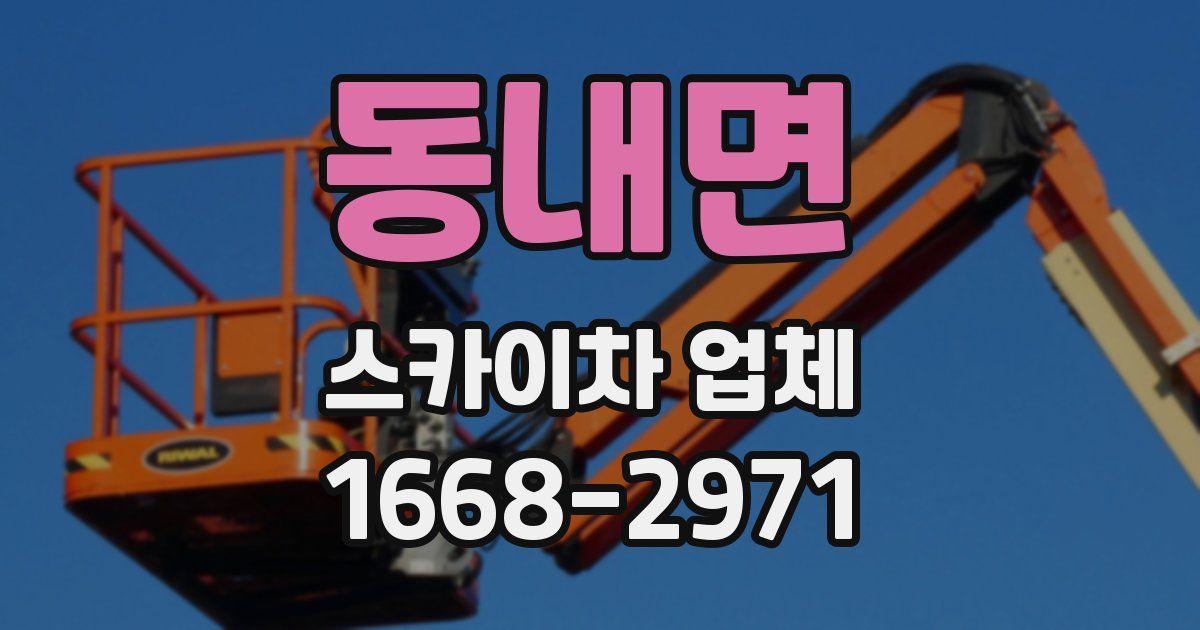 동내면 스카이차 업체