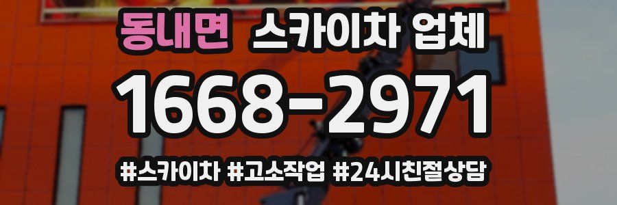 동내면 스카이차 업체