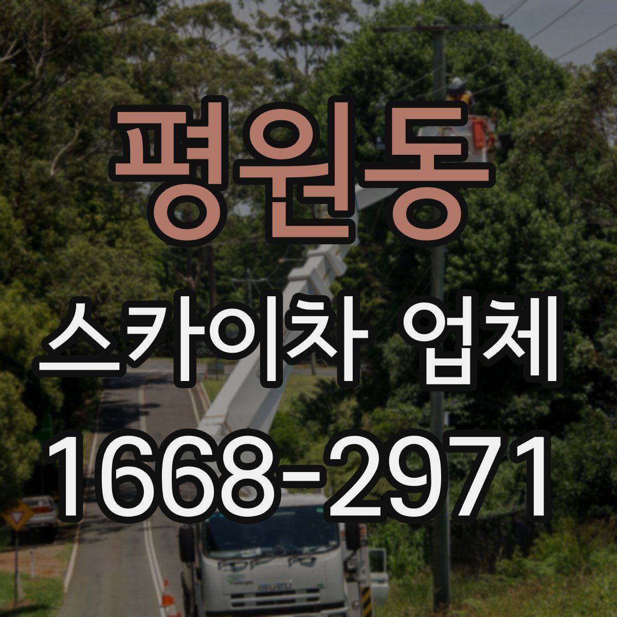 평원동 스카이차 업체