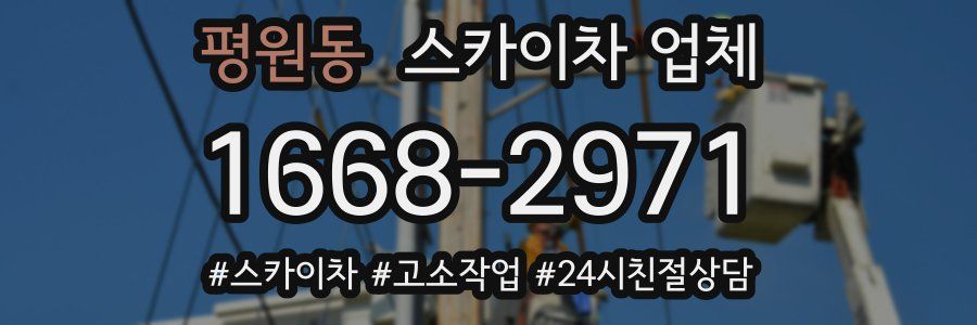 평원동 스카이차 업체