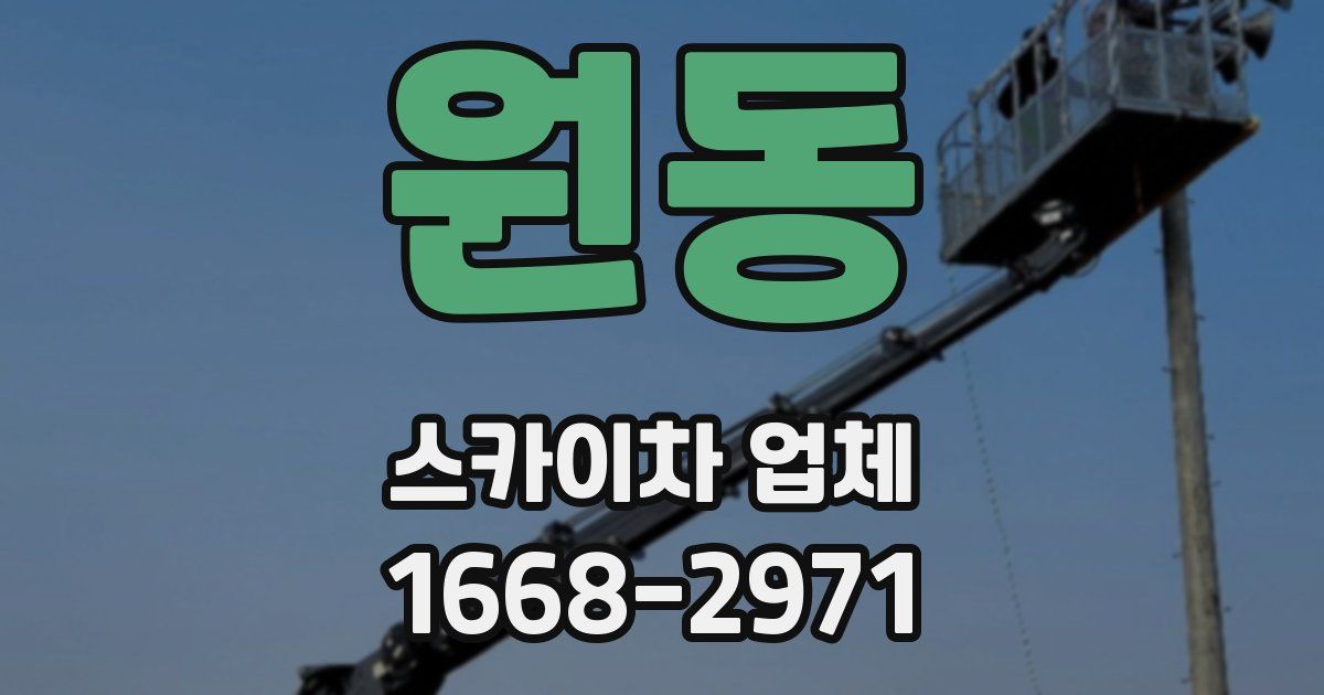 원동 스카이차 업체