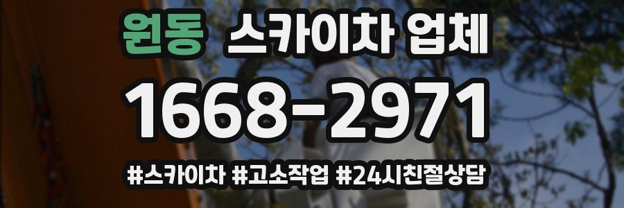 원동 스카이차 업체