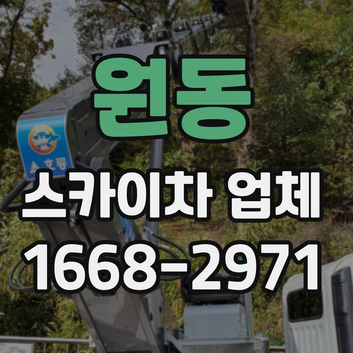 원동 스카이차 업체