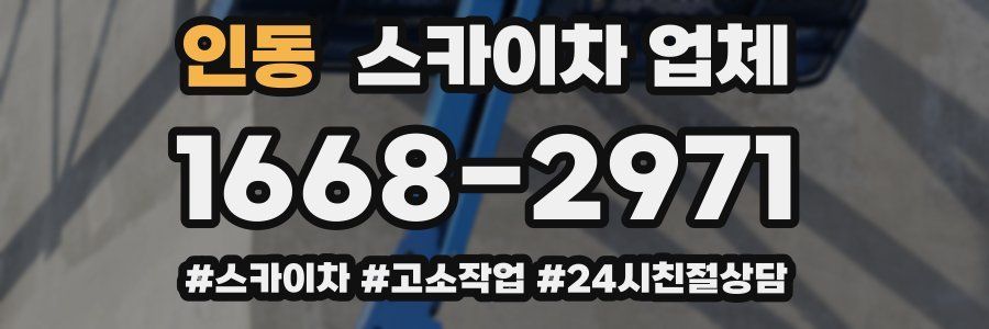 인동 스카이차 업체