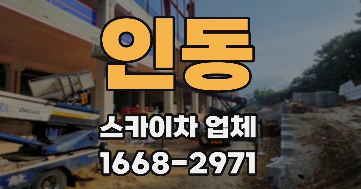 인동 스카이차 업체