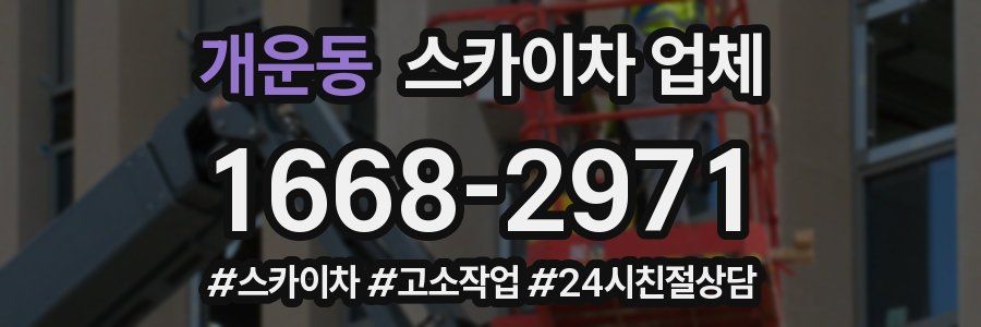 개운동 스카이차 업체